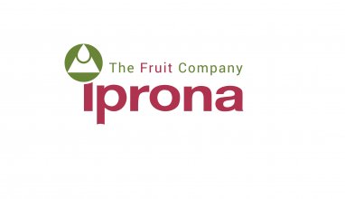 iprona_logo.jpg